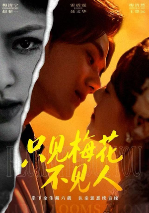 只见梅花不见人（63集）精彩短剧随心推