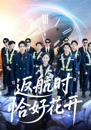 返航时恰好花开（101集） 免费的短剧资源汇总