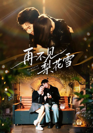 再不见梨花雪（70集） 好看短剧看不停