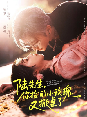 陆先生，你捡的小玫瑰又掀桌了（74集）火爆热播短剧抢先看全集