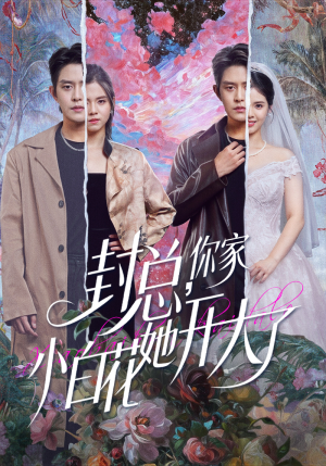 封总，你家小白花她开大了（60集）直接追到结尾的短剧大全