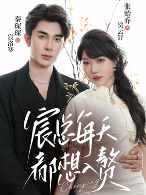 宸总每天都想入赘（65集）红果免费短剧免费看全集