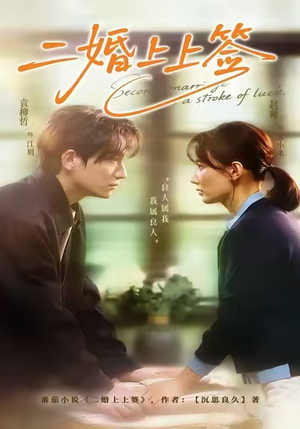 二婚上上签（71集）在线观看全集的热门短剧推荐