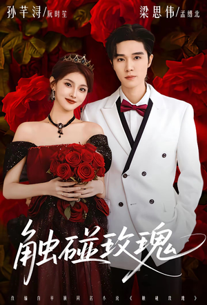 触碰玫瑰（80集）热播短剧推荐点击抢先看全集