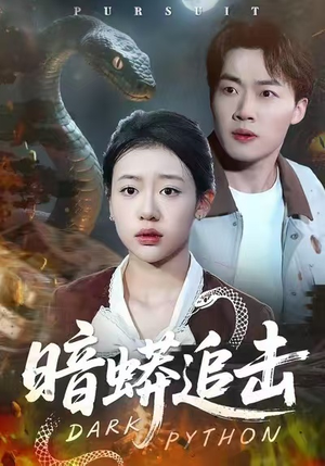 暗蟒追击（35集）短剧热播全集免费追