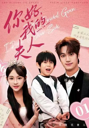 顾总，我才是你的夫人（65集）热门短剧排行榜