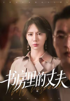 书房里的丈夫（100集）短剧推荐正在热播