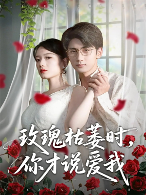 玫瑰枯萎时你才说爱我（100集）追短剧太上头了