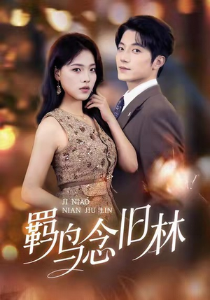 羁鸟念旧林（60集）热门短剧好看又上头