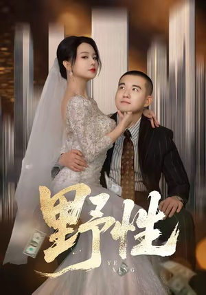 野性（70集）免费看全网短剧