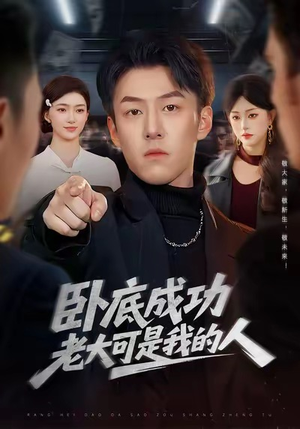 卧底成功老大可是我的人（99集）短剧经典全集任你选