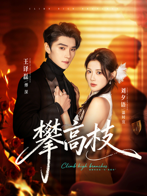 攀高枝（70集）最火的网络小短剧