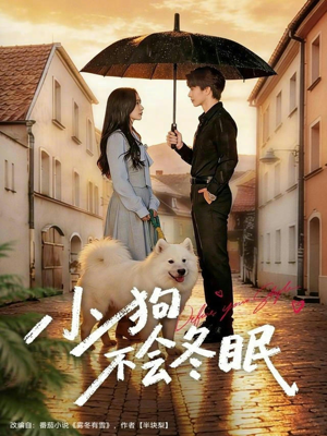 小狗不会冬眠（70集）前十的短剧值得一看
