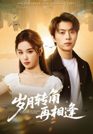 岁月转角再相逢（80集）一口气追短剧至大结局