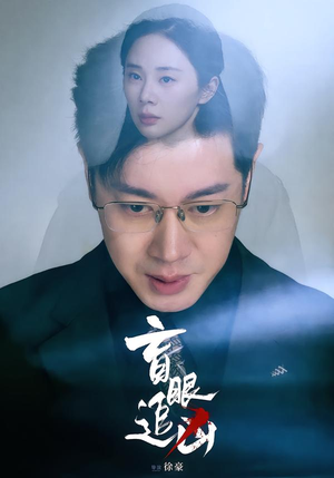 盲眼追凶（60集）忍不住一口气看完短剧