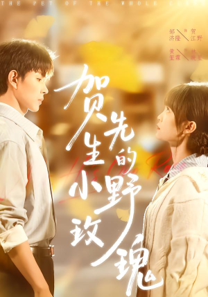 贺先生的小野玫瑰（99集）番茄短剧免费看