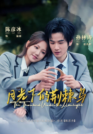 月光下的荆棘鸟（80集）爱上这部短剧推荐给你们