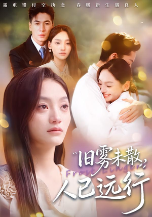 旧雾未散，人已远行（76集）精彩短剧抢先看全集