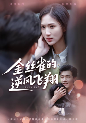 金丝雀的逆风飞翔（80集） 免费短剧尽享影视魅力