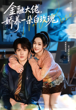 金融大佬，娇养一朵白玫瑰（70集）超级好看短剧推荐