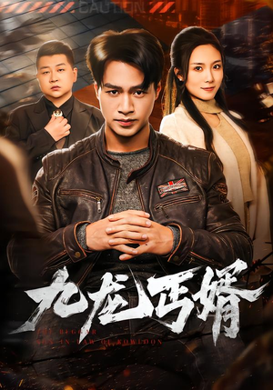 九龙丐婿（81集）热门免费短剧推荐