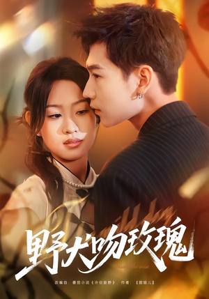 野犬吻玫瑰（70集）大结局一气呵成的热门短剧