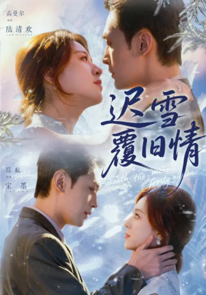 迟雪覆旧情（62集）热门短剧不停更新