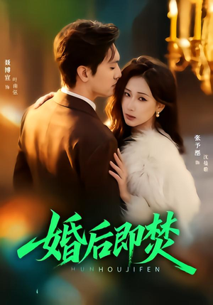 婚后即焚（77集）红果免费短剧