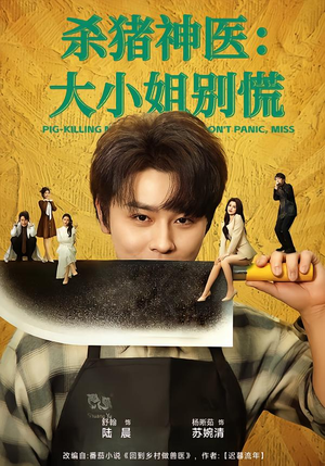 杀猪神医，大小姐别慌（80集）精彩短剧等你来看
