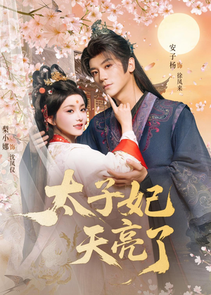 太子妃天亮了(80集) 太子妃天亮了(80集)热门短剧抢先看全集