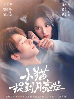 小猫捉到月亮啦（80集）短剧热门推荐不容错过