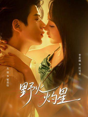 野火灼星（56集）全部免费看短剧的网站汇总