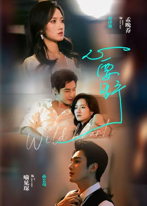 心要野（62集）排行榜前十短剧免费看