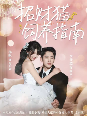 招财猫饲养指南（92集）古装热门短剧推荐
