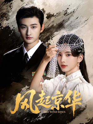 风起京华(60集) 风起京华(60集)短剧大结局全集特惠