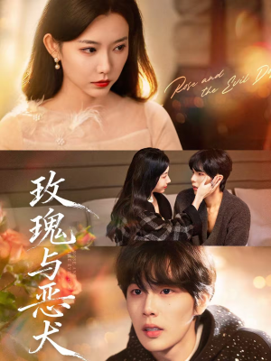 玫瑰与恶犬(80集) 玫瑰与恶犬(80集)短剧全集免费观看