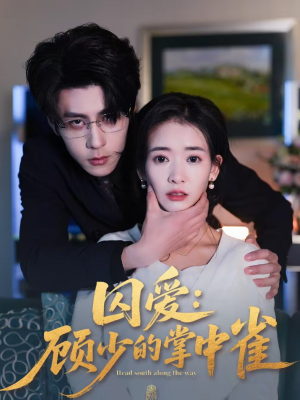 囚爱:顾少的掌中雀(70集) 囚爱:顾少的掌中雀(70集)最火短剧热播中意想不到的结局