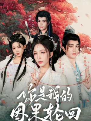 你是我的因果轮回（100集）精彩的网络短剧
