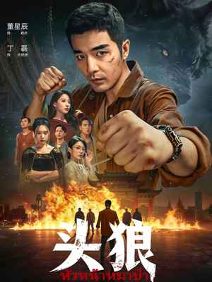 头狼（77集）免费观看全集短剧无删减