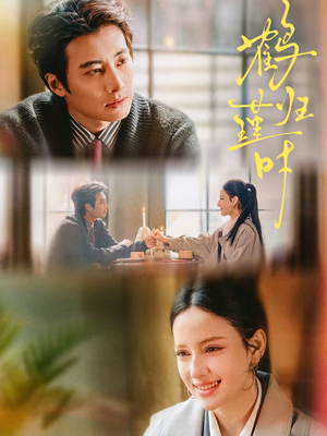 鹤归瑾时(81集) 鹤归瑾时(81集)爱上这部短剧推荐给你们