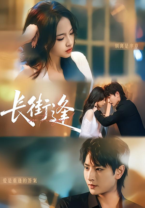 长街逢（61集）红果免费短剧看全集