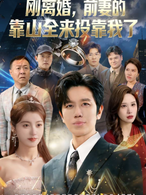 离婚，前妻的靠山全来投靠我了（80集）红果短剧全集免费看