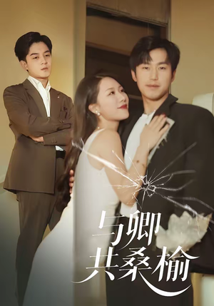 与卿共桑榆（63集）悟空浏览器免费看短剧