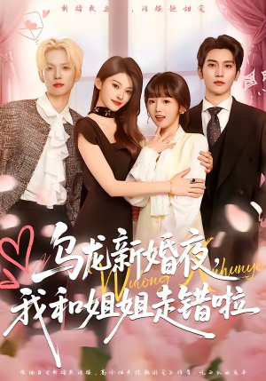 乌龙新婚夜，我和姐姐走错啦（59集）古装热门短剧推荐