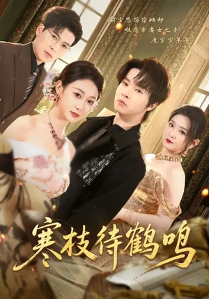 寒枝待鹤鸣(70集) 寒枝待鹤鸣(70集)短剧热播全集免费追