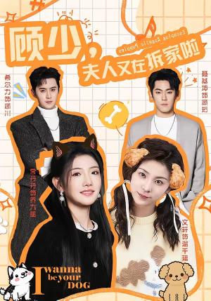 顾少，夫人又在拆家啦（78集）好看又上头的短剧来了