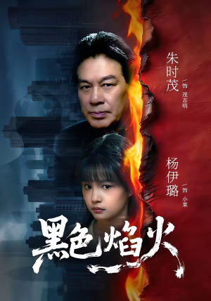 黑色焰火（41集）短剧全集热力排行榜之一