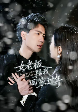 女老板陪我回家过年（40集）零花钱看整部短剧的优质平台