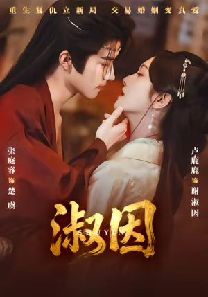 淑因（65集）精彩短剧剧情不容错过