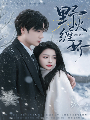 野火缠娇（66集）热门短剧推荐分享